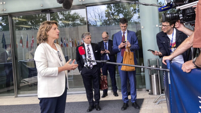 La ministra española para la Transición Ecológica, Teresa Ribera, atiende a los medios a su llegada al consejo de ministros de Energía en Luxemburgo, este lunes. EFE/Javier Albisu
