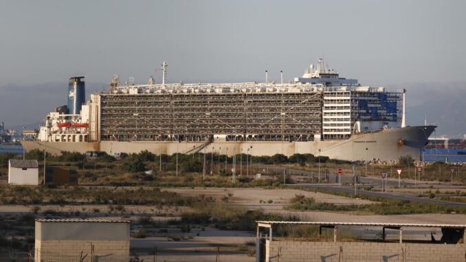 El buque 'Mawashi Express', cargado con ganado e intervenido por la Audiencia Nacional, está atracado en el muelle de Crinavis, en San Roque (Cádiz). EFE/A.Carrasco Ragel
