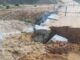 Las fuertes lluvias causan daños en el Camino de Móstoles a Arroyomolinos a su paso sobre el Arroyo de Valdearenal