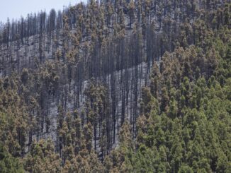 Zona de El Cortijo de las Huertas, en Tejeda (Gran Canaria), donde ayer martes se inició el incendio que ha quemado unas 300 hectáreas y que se estima se podrá dar por estabilizado durante la tarde de este miércoles. EFE/ Quique Curbelo