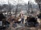 Un residente inspecciona los daños en su propiedad completamente destruida debido a un incendio forestal, en Dervenochoria, al noroeste de la región de Attica, Grecia, este miércoles. EFE/ORESTIS PANAGIOTOU