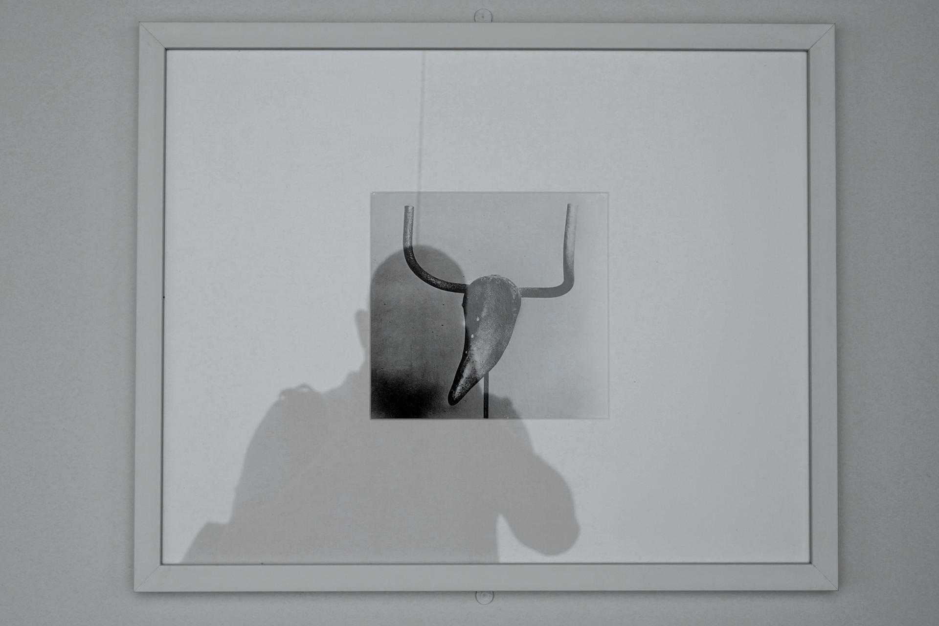 Un hombre fotografía de la obra "Cabeza de toro", de Pablo Picasso, que forma parte de la exposición "La segunda vida de las cosas. De traperos y vanguardistas a comienzos del XX" que se ha inaugurado este miércoles en el Museo Nacional de Escultura en Valladolid. EFE/ Nacho Gallego
