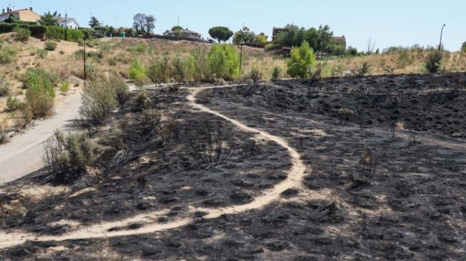 El Ayuntamiento de Móstoles elabora un plan de prevención de incendios