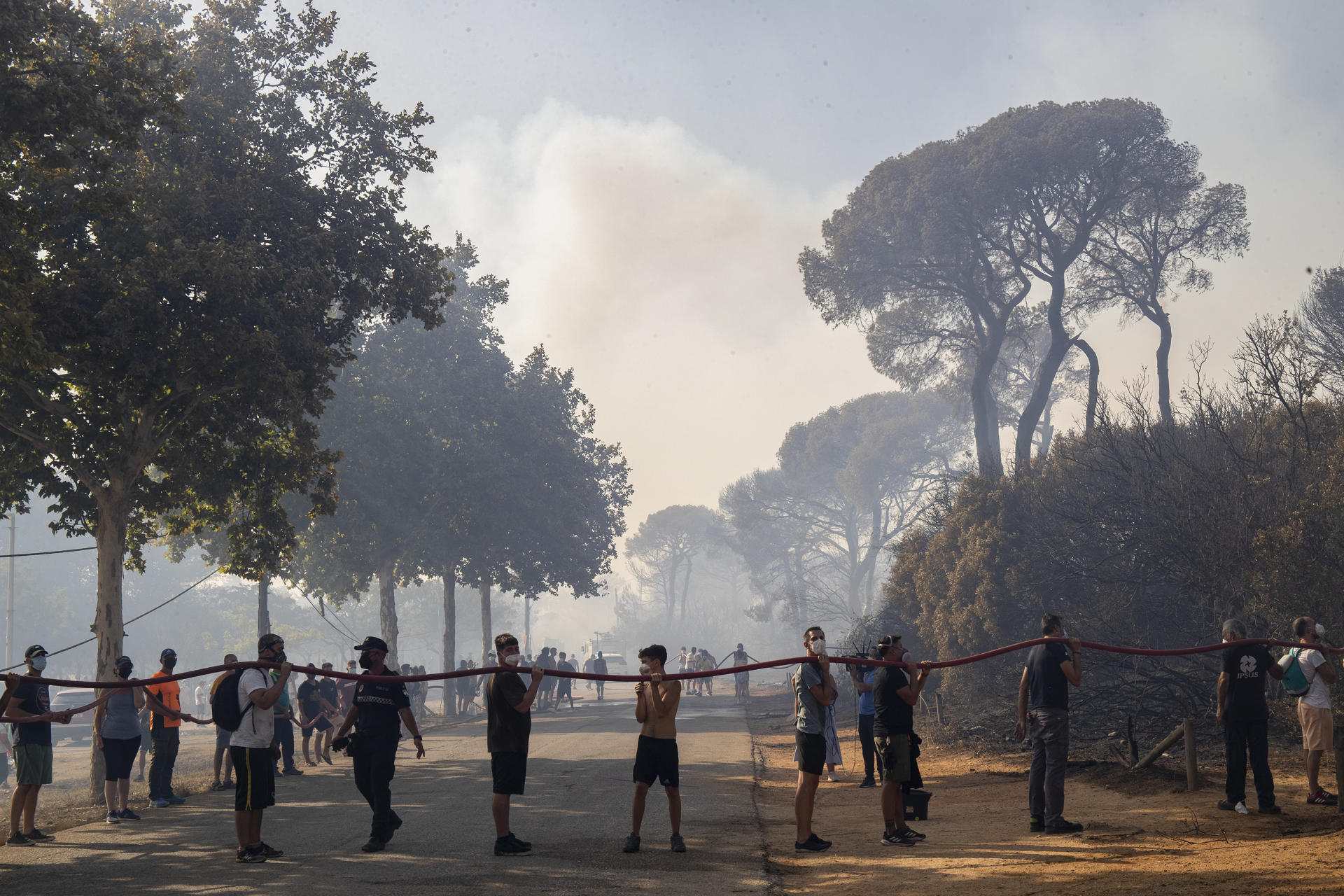 Vecinos y bomberos se afanan por apagar el incendio declarado esta tarde en el Paraje Natural de Las Canteras en Puerto Real (Cádiz).La AP-4, que une Cádiz con Sevilla, ha quedado cortada en ambos sentidos entre el kilómetro 104 y el 112 recomienda buscar vías alternativas, mientras que la circulación ferroviaria en este municipio está sufriendo retrasos. EFE/Román Ríos
