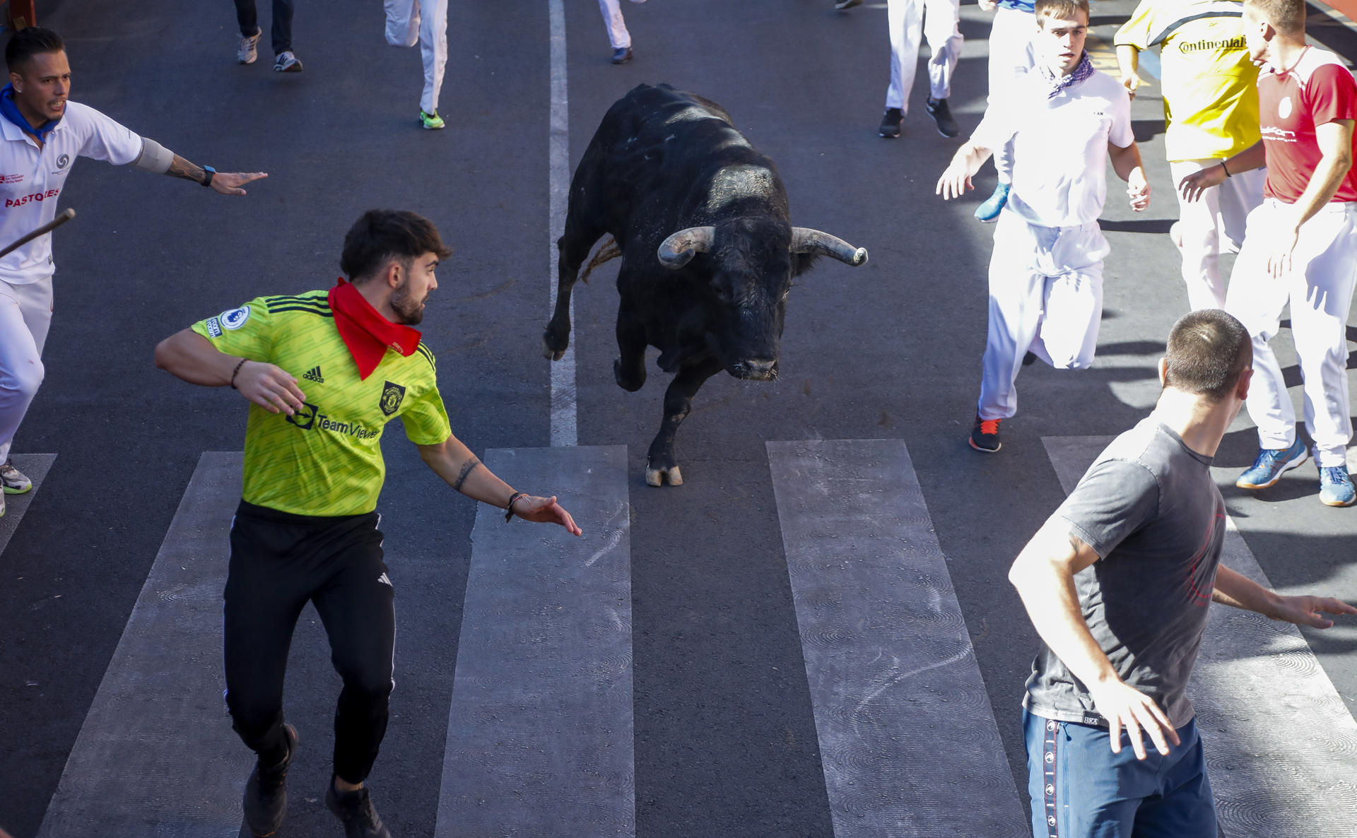 Vista del encierro de las fiestas de San Sebastián de los Reyes, este jueves. El cuarto y muy disgregado encierro de San Sebastián de los Reyes ha concluido con dos heridos leves por caídas durante la carrera, que básicamente han dejado raspones que ya han tratado los sanitarios en la propia manga del encierro .  EFE/ David Fernández
