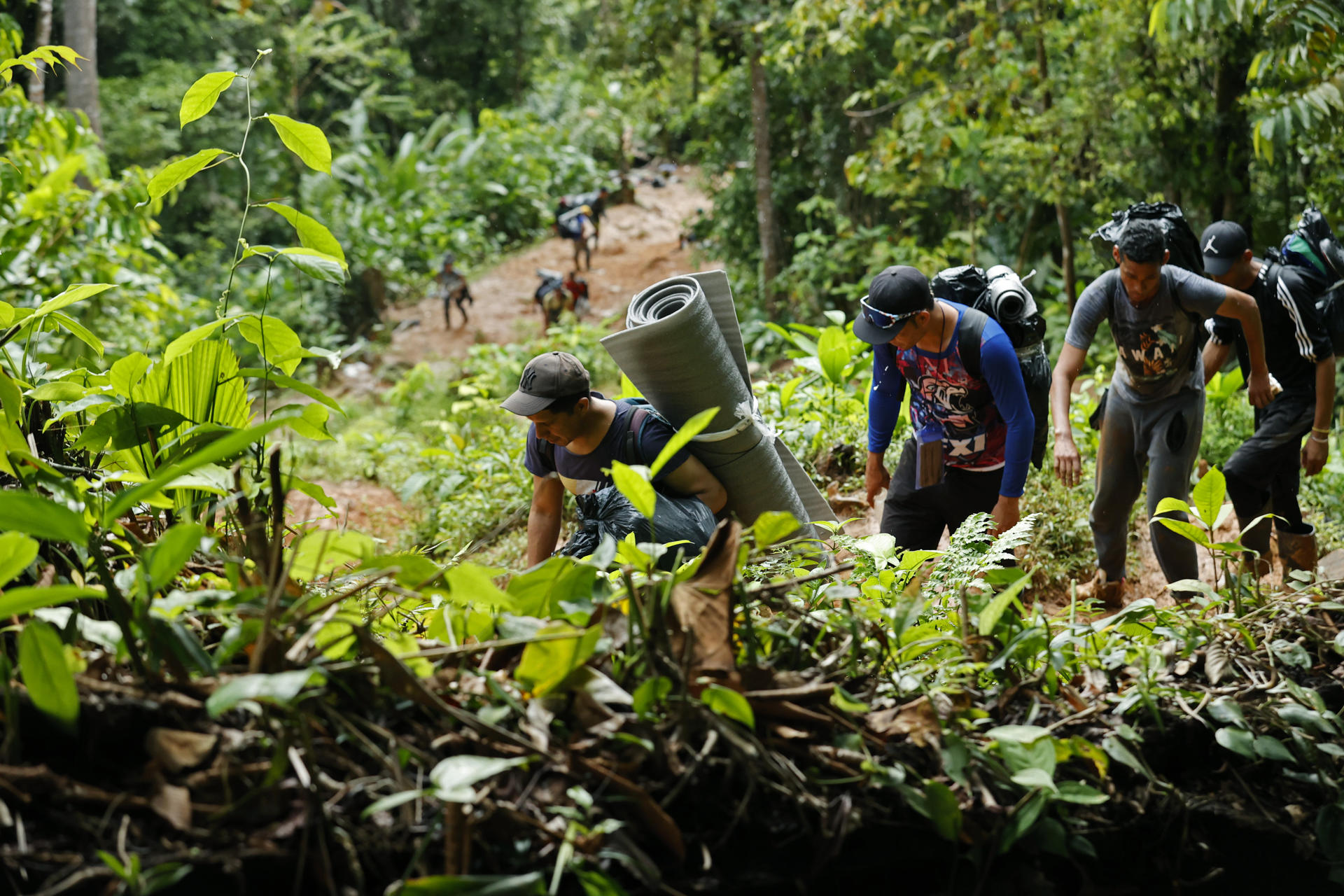 Migrantes venezolanos suben una montaña con la intención de llegar a Panamá, en el Tapón del Darién (Colombia), en una fotografía de archivo. EFE/Mauricio Dueñas Castañeda
