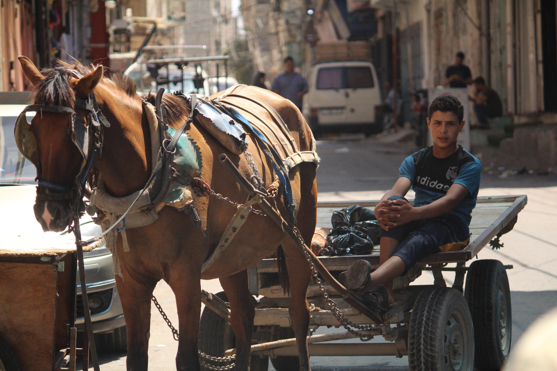 Un caballo arrastra a un joven trabajador y su carro en una Gaza que "toca fondo" y sufre una crisis económica y energética de la que "no tendrá salida hasta que acabe el bloqueo israelí sobre la Franja", una situación agravada este verano por la falta de electricidad y de ingresos del Gobierno del grupo islamista Hamás, según ha denunciado su portavoz, Hazem Qasem, en una entrevista a EFE este martes en Gaza. EFE/ Joan Mas Autonell
