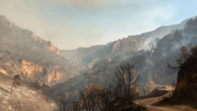 Imagen de archivo del incendio forestal declarado en un paraje de Los Guájares, en la Costa Tropical de Granada. EFE/Alba Feixas/Archivo
