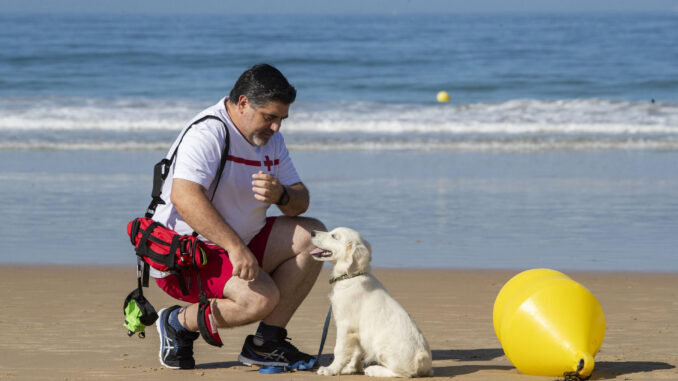 El cuidador y preparador canino, Juan Luis de Castellví, junto a Chui, un cachorro de Golden Retriever que se prepara como apoyo a los socorristas del puesto de la Cruz Roja en la playa de La Barrosa en Chiclana de la Frontera, este viernes, y que se convertirá en el primer socorrista canino de la Cruz Roja en España. EFE/ Román Ríos

