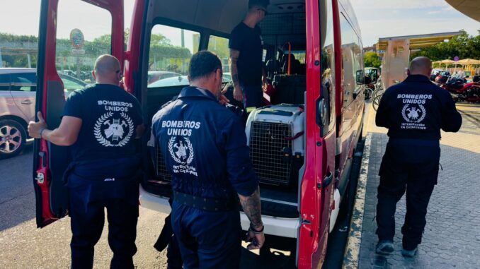 Los bomberos madrileños de la ONG Bomberos Unidos Sin Fronteras que van a participar en las labores de búsqueda de supervivientes del terremoto que ha arrasado varias zonas de Marruecos han llegado esta tarde a la estación de Santa Justa de Sevilla, donde se han unido a los onubenses de la misma organización. EFE/ Fermín Cabanillas