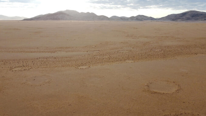 Paisaje en una zona árida de Namibia donde se pueden observar varios "círculos de hadas". Imagen: Audi Ekandjo. EFE
