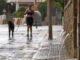 Una joven pasea a su perro este lunes en Andratx. EFE/ Cati Cladera