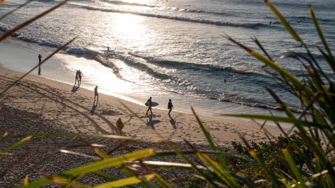 Imagen de hoy de una playa de Australia en medio de una ola de calor. EFE/EPA/FLAVIO BRANCALEONE AUSTRALIA AND NEW ZEALAND OUT
