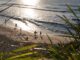 Imagen de hoy de una playa de Australia en medio de una ola de calor. EFE/EPA/FLAVIO BRANCALEONE AUSTRALIA AND NEW ZEALAND OUT