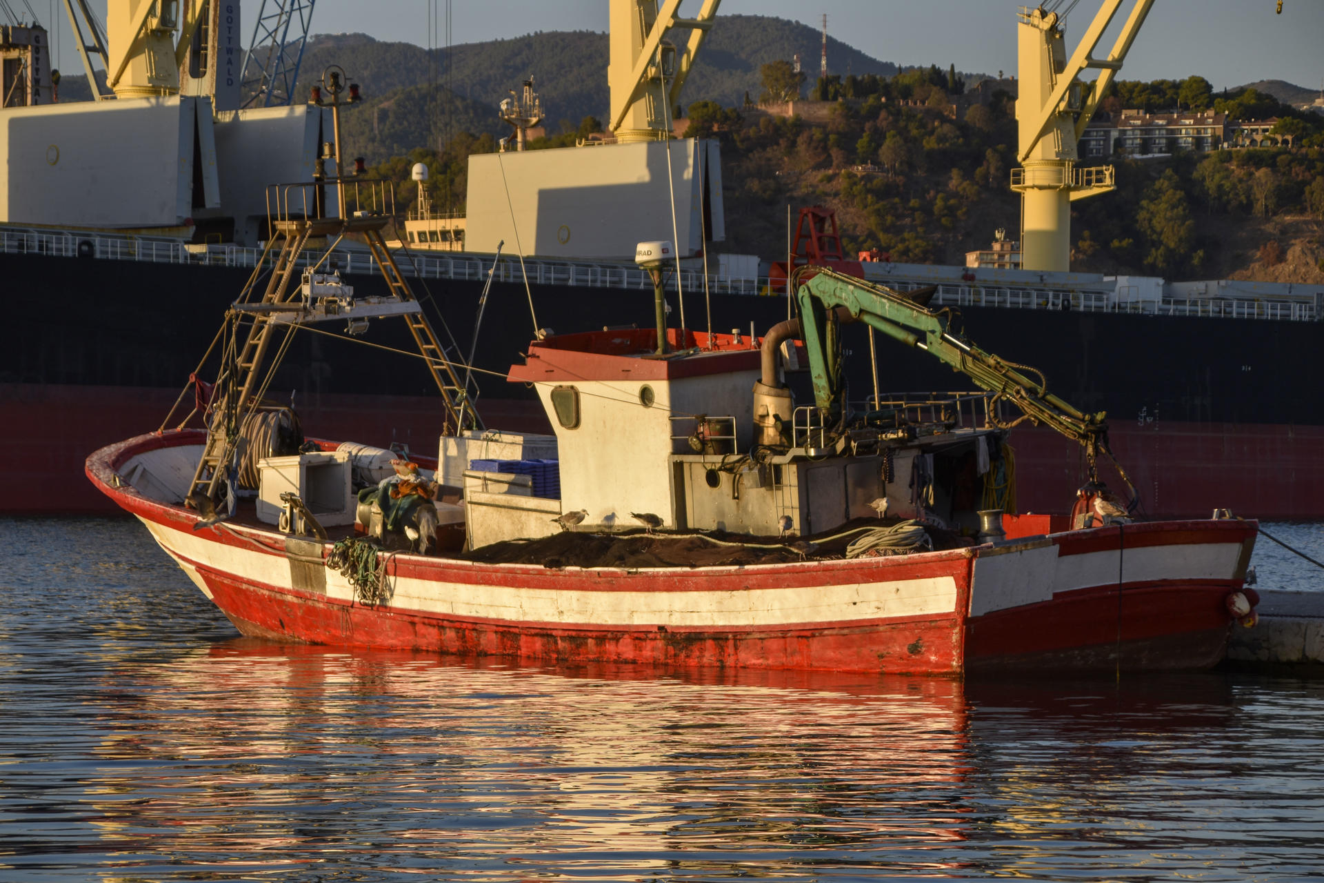 Un barco pesquero en el puerto de Málaga.  Las poblaciones de sardina y boquerón, pequeños peces pelágicos muy presentes en el mar Mediterráneo, "tienden a recuperarse, pero muy poco a poco", ya que continúan bajo las amenazas persistentes de la contaminación, la pesca y el cambio climático. EFE/ Irene Martín Morales
