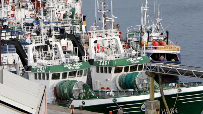 Imagen de archivo de barcos pesqueros de palangre, arrastre, cerco y artes menores del puerto coruñés de Ribeira. EFE/Lavandeira jr
