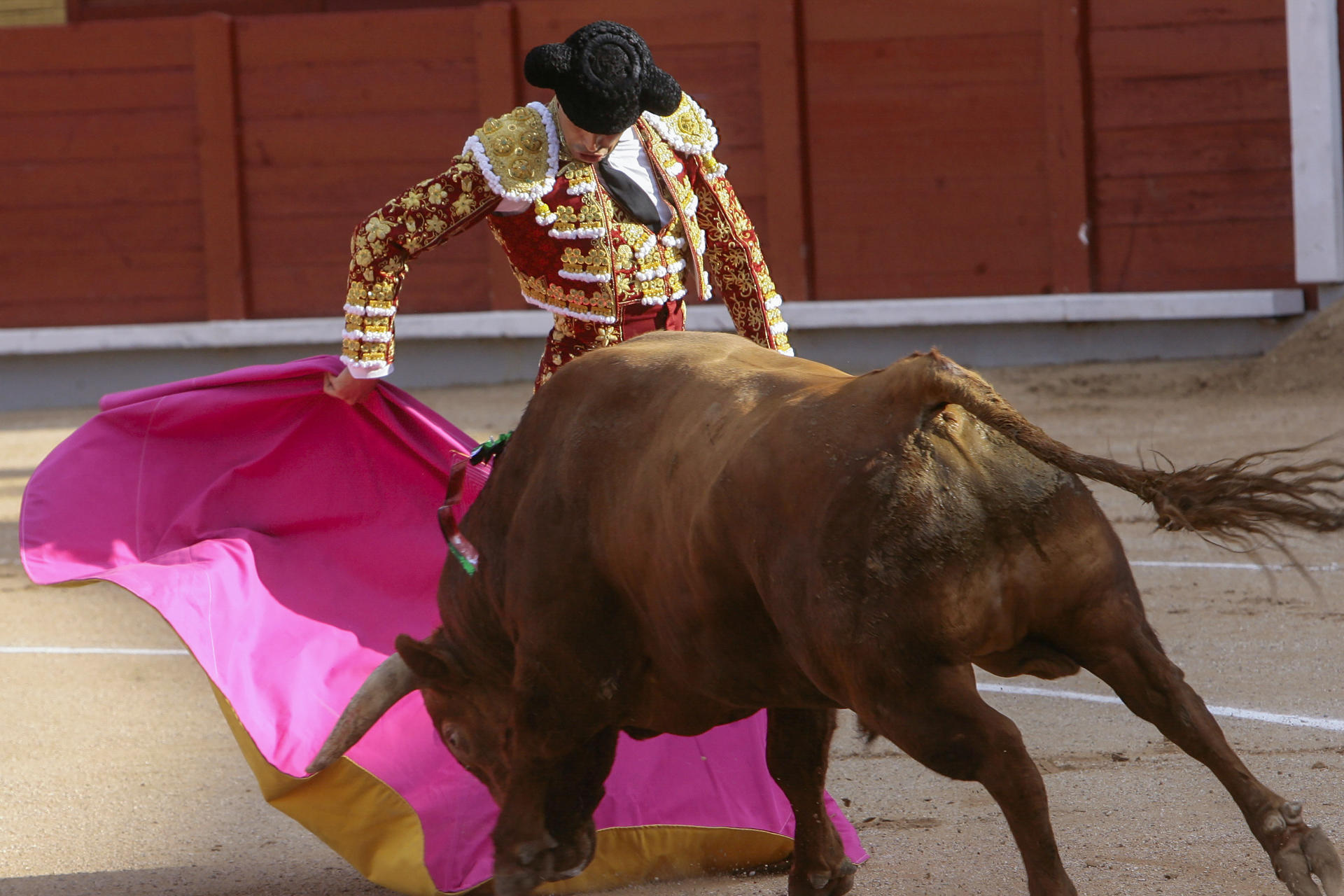 El torero José María Manzanares lidia un toro este jueves, durante la corrida de toros de la Feria de Guadalajara (Castilla la Mancha). EFE/ Pepe Zamora
