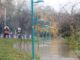 Fotografía de archivo de una zona inundada por el río Ebro, en Zaragoza. EFE/Javier Belver