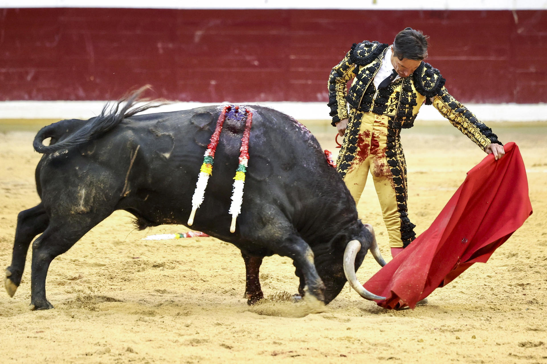 El diestro Diego Urdiales en su faena durante la corrida de toros de la Feria de San Mateo que se celebra hoy miércoles en la plaza de La Ribera de Logroño. EFE/ Raquel Manzanares.
