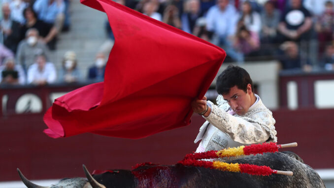 El novillero García Pulido, en una imagen de archivo. EFE / Miguel Osés
