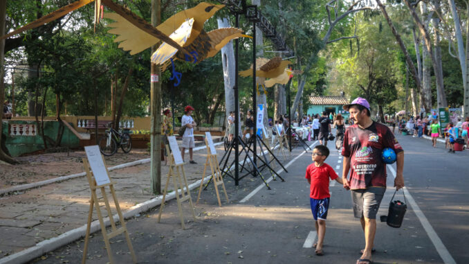 Personas observan exhibiciones artísticas mientras recorren el Parque Caballero en Asunción (Paraguay). EFE/Rubén Peña
