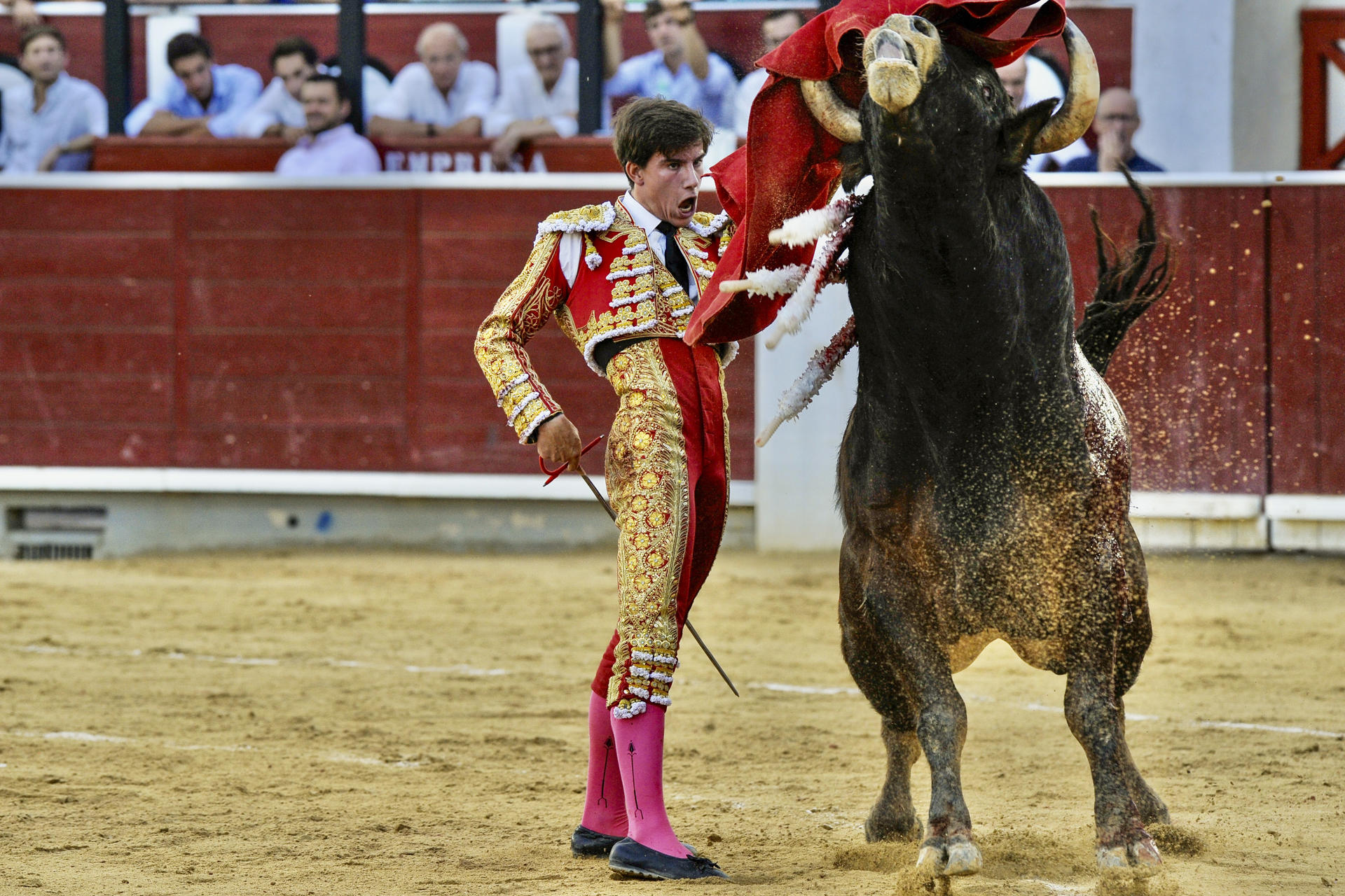 El novillero Alejandro Peñaranda, que cortó dos orejas, hoy lunes en el cuarto festejo de la feria de Albacete, con novillos de El Montecillo. EFE/ Manu
