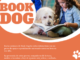 Los niños mostoleños reforzarán su lectora mediante el "Book Dog"