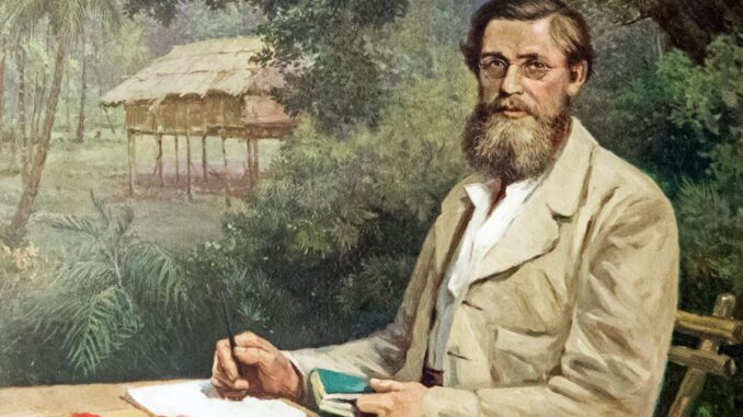 Retrato del naturalista Alfred Russel Wallace, cuyo bicentenario de nacimiento se celebrará en el Museo Nacional de Ciencias Naturales (MNCN-CSIC) con la exposición Alfred Russel Wallace (1823-1913). Biogeografía y Evolución.  EFE
