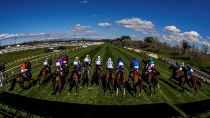 Fotografía de la salida de una carrera en el Hipódromo de la Zarzuela, en una foto de archivo de JuanJo Martín. EFE
