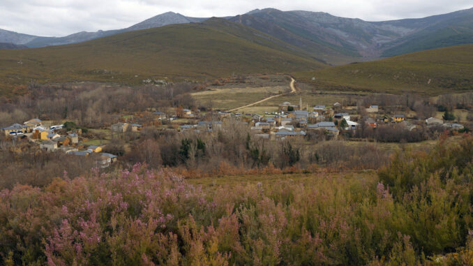 Vista general de un monte en la Sierra de la Cabrera (León). EFE/ J.J. Guillén
