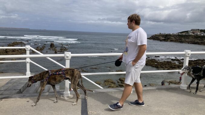 Imagen de la playa El Rinconín, en Gijón, la primera playa oficial para perros de Asturias. Se trata de una pequeña playa de 250 metros de longitud, que se encuentra junto a un parque canino. EFE/Juan Carlos Gomi
