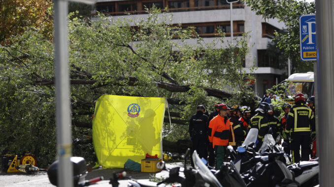 Miembros de los cuerpos de bomberos permanecen en el número 1 de la calle Almagro de Madrid, donde este jueves una mujer joven ha fallecido tras caerle un árbol encima a causa de las fuertes rachas de viento. EFE/ Rodrigo Jimenez
