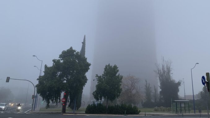 Intensa niebla hoy en Sevilla. EFE/Fermin Cabanillas
