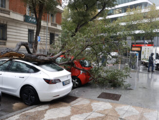 Un árbol caído sobre varios coches en una calle del centro de Madrid. EFE/ Juan Carlos Hidalgo