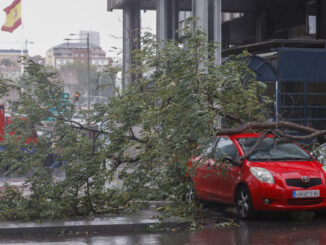 Un árbol caído sobre varios coches cerca de la Plaza de Colón de Madrid este jueves por el paso de Ciarán. EFE/ Juan Carlos Hidalgo