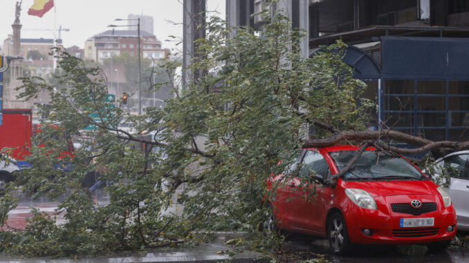 Un árbol caído sobre varios coches cerca de la Plaza de Colón de Madrid este jueves por el paso de Ciarán. EFE/ Juan Carlos Hidalgo
