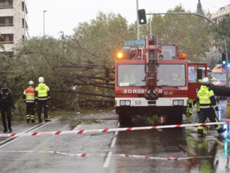 Efectivos del cuerpo de bomberos en el lugar donde este jueves una mujer falleció tras caerle un árbol encima a causa de las fuertes rachas de viento. EFE/ Rodrigo Jimenez