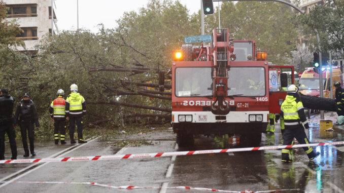 Efectivos del cuerpo de bomberos en el lugar donde este jueves una mujer falleció tras caerle un árbol encima a causa de las fuertes rachas de viento. EFE/ Rodrigo Jimenez
