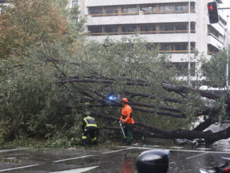 Efectivos del cuerpo de bomberos junto al árbol caído en el número 1 de la calle Almagro de Madrid, a causa de las fuertes rachas de viento, causando la muerte a una mujer de 23 años.Otras tres personas han resultado heridas leves por el impacto del árbol. EFE/ Rodrigo Jimenez