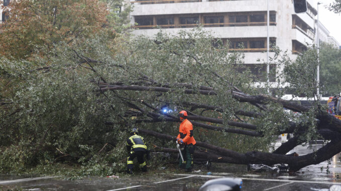 Efectivos del cuerpo de bomberos junto al árbol caído en el número 1 de la calle Almagro de Madrid, a causa de las fuertes rachas de viento, causando la muerte a una mujer de 23 años.Otras tres personas han resultado heridas leves por el impacto del árbol. EFE/ Rodrigo Jimenez
