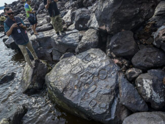 Fotografía cedida por el Instituto de Patrimonio Histórico y Artístico Nacional de Brasil (Iphan) que muestra a uno de sus profesionales en el lugar donde fueron hallados varios yacimientos arqueológicos, en la Amazonía de Brasil. EFE/Guilherme Silva/Iphan