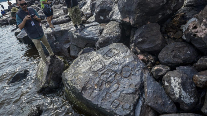 Fotografía cedida por el Instituto de Patrimonio Histórico y Artístico Nacional de Brasil (Iphan) que muestra a uno de sus profesionales en el lugar donde fueron hallados varios yacimientos arqueológicos, en la Amazonía de Brasil. EFE/Guilherme Silva/Iphan
