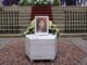 El funeral de Giulia Cecchettin en la basílica de Santa Justa de Padua. EFE/EPA/NICOLA FOSSELLA