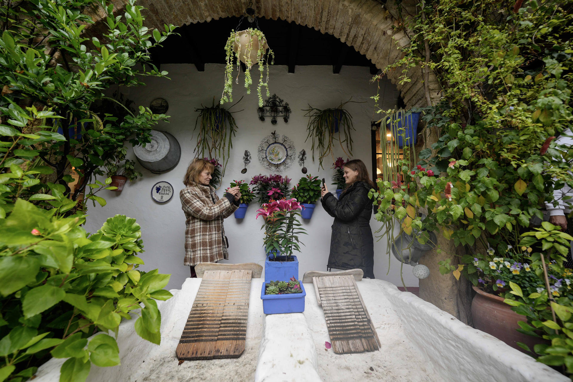 Los patios de Córdoba, declarados Patrimonio Inmaterial de la Humanidad por la Unesco, se abren hasta el 30 de diciembre para ofrecerse, de nuevo como en mayo, como un atractivo turístico de primer orden. 39 patios organizados en seis rutas, se han comprometido a estar abiertos en horario de tarde, entre las cinco y las nueve, algo que hace posible ampliar el radio de presencia de visitantes a zonas del casco histórico no siempre colmatadas de turistas. EFE/ Rafa Alcaide
