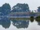 Vista de las marismas junto a la aldea de El Rocío en el Parque Nacional de Doñana, en una fotografía de archivo. EFE/ Raúl Caro