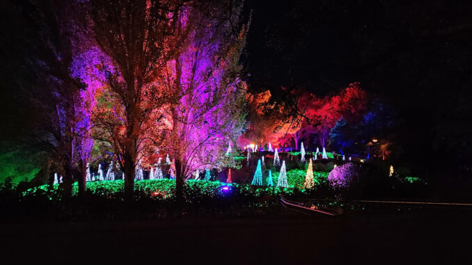 Fotografía facilitada por SEO/BirdLife de luces en un parque urbano. EFE
