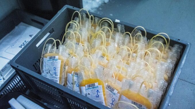 Imagen de archivo de bolsas de plasma conservadas en la cámara del banco de sangre y tejidos de un hospital. EFE/Cati Cladera
