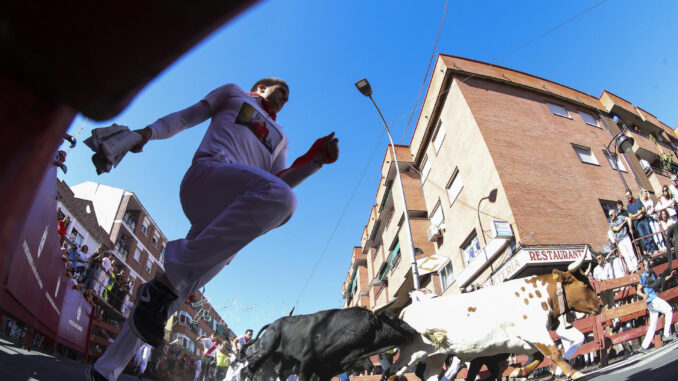 Vista del encierro de las fiestas de San Sebastián de los Reyes el pasado mes de agosto.  EFE/ David Fernández
