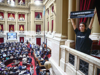 Fotografía cedida por Greenpeace donde aparece una activista de la organización mientras protesta en contra del proyecto de la denominada 'ley ómnibus' en el recinto de la Cámara de Diputados, en Buenos Aires (Argentina). EFE/ Greenpeace Argentina