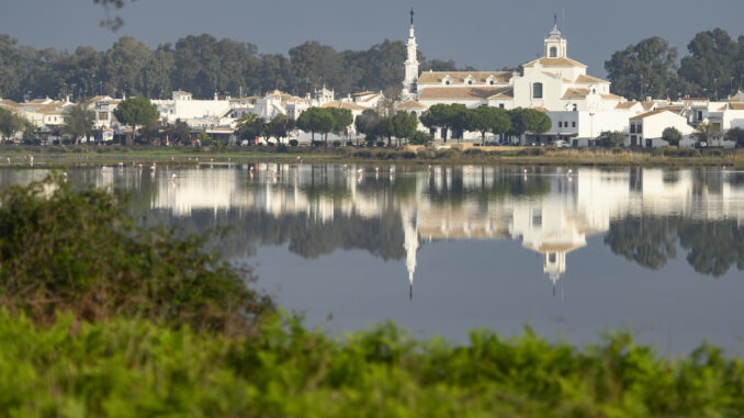 Vista de las marismas junto a la aldea de El Rocío en el Parque Nacional de Doñana, en una imagen de archivo. EFE/ Raúl Caro
